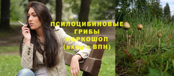 Альфа ПВП Покров