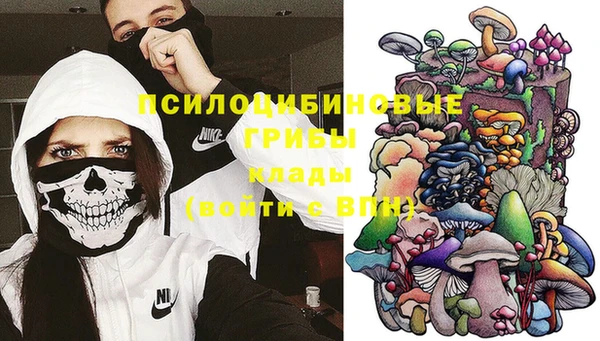 дурь Покачи
