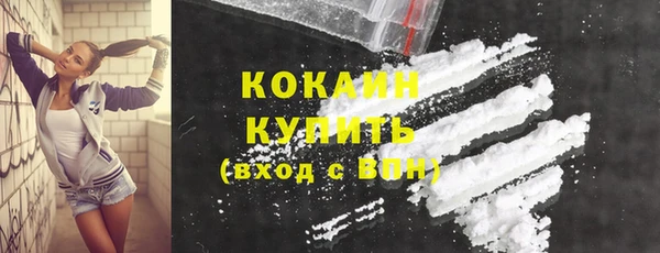 дурь Покачи