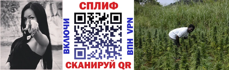 Конопля сатива  мориарти клад  Чегем 